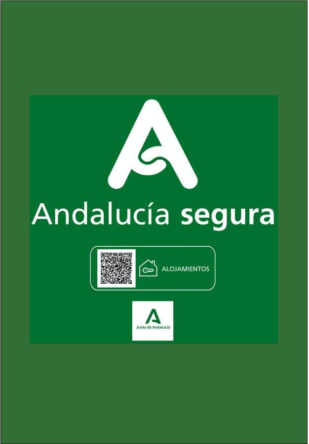 Holidays2Malaga Heredia 3 bedroom opposite Malaga Port Málaga Exterior foto